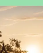 혈액순환 개선하는 생활습관