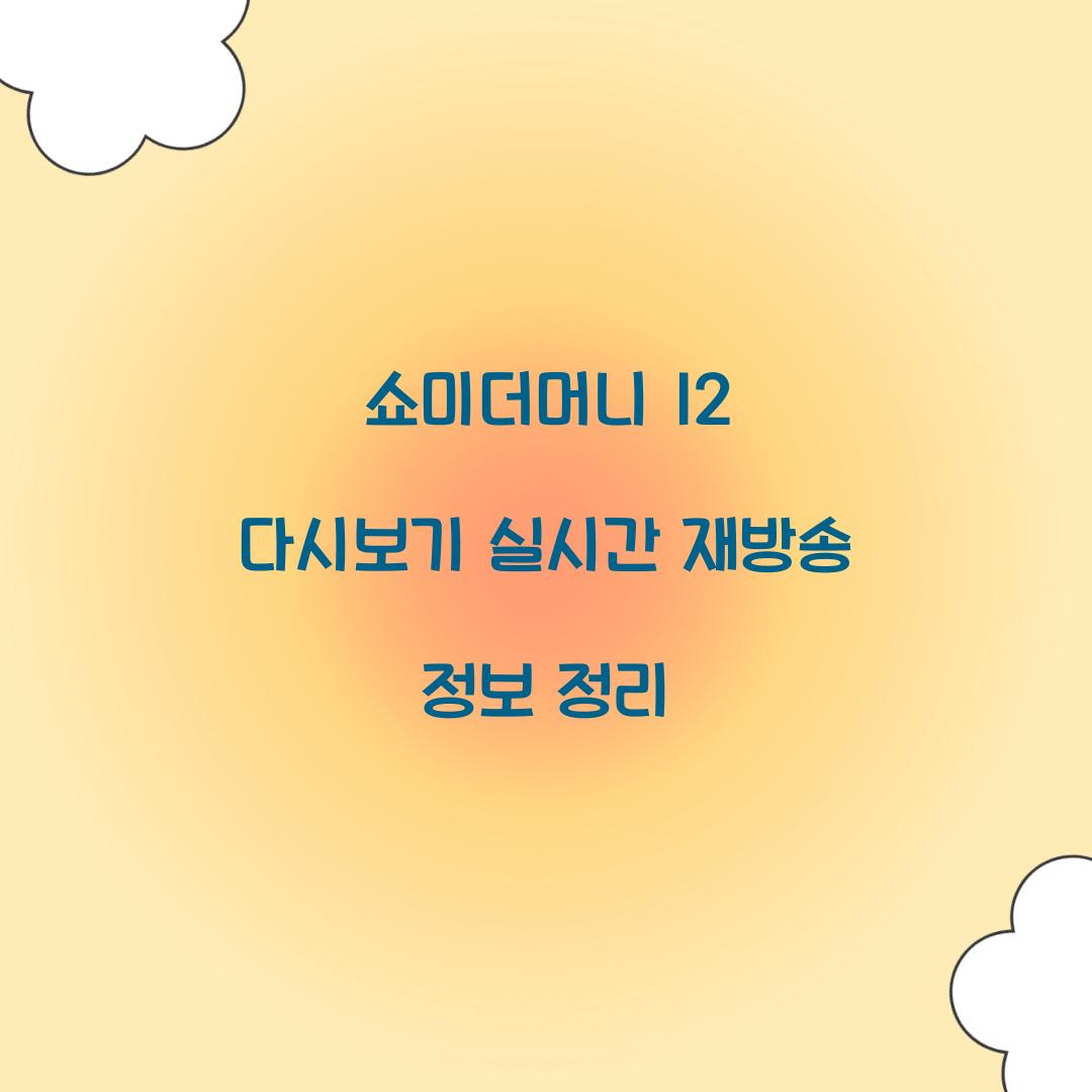 쇼미더머니 12 다시보기