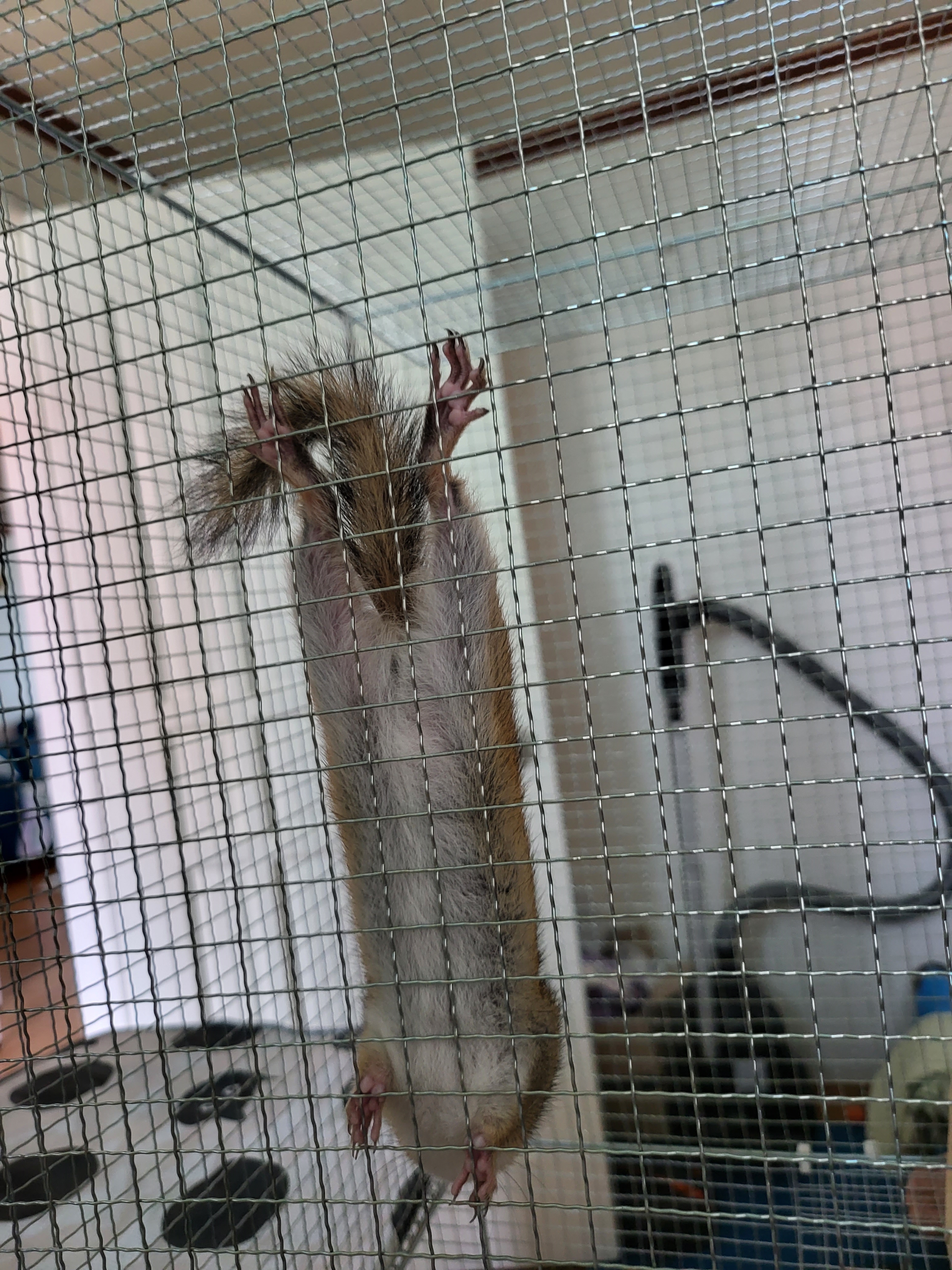 어디 보자~ 우리 딸랑구 배가~ 홀쭉하네~