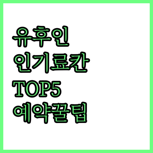 직접 확인한 유후인 인기 료칸 5곳 ..