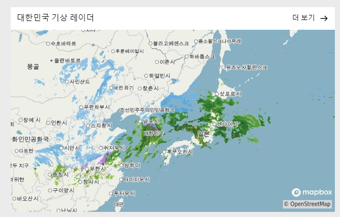 초단기 강수예측 앱, 비 오는 시간과 양을 정확히 알려줘!