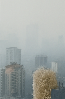 전립선암초기증상