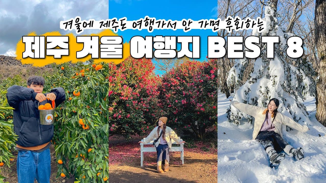 초등 고학년 아이들이 반하는 겨울 국내 여행지 BEST 가이드