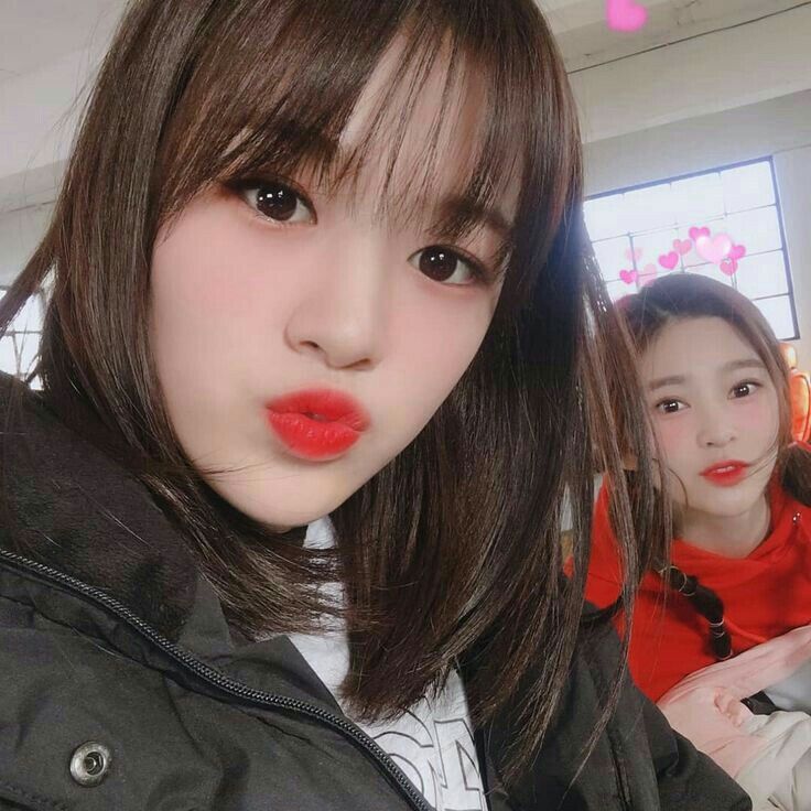 아이즈원 프로듀스48 사진 모음