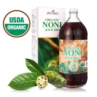 노니 효능 칼로리 섭취량_6