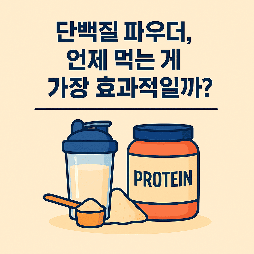 단백질 파우더 보충 시기