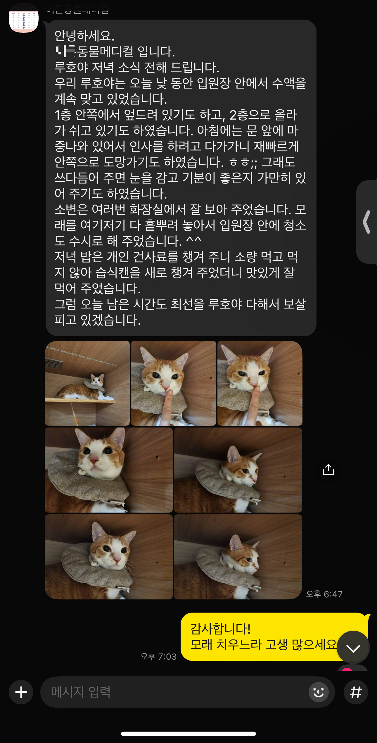 호야_입원한_병원에서_아침_저녁으로_보내주는_소식_5