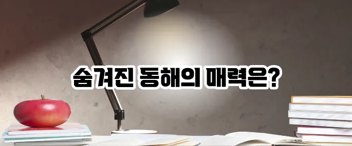 고성 가볼만한곳 베스트10 동해 뷰 여행지 추천