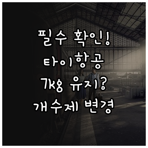 타이항공 기내 반입 규정 7kg 유지..