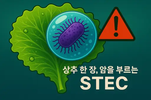 삼겹살엔 상추 필수인데&hellip; 알고 보니 대장암 위험 증폭?