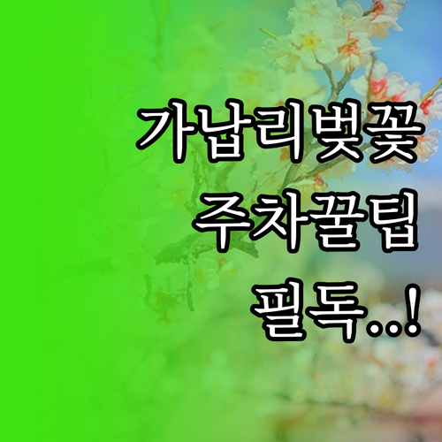 양주 가납리 벚꽃 축제 일정 주차장 ..
