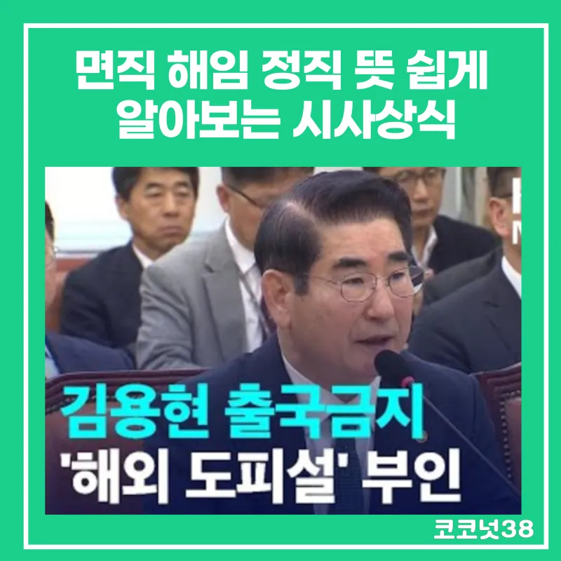 면직 정직 해직 뜻 맞춤법 의미_8