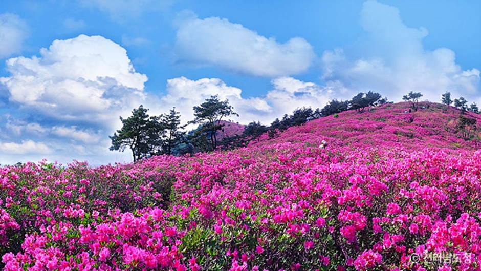 2024 가을 여행지 단풍 명소 추천