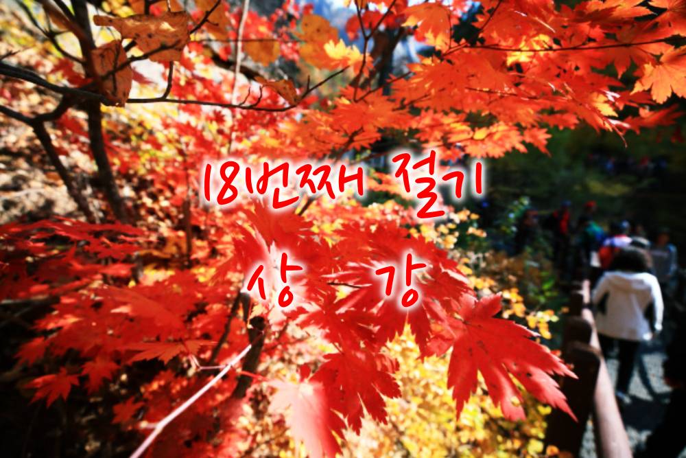 가을절기 상강 썸네일