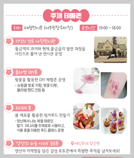 물금벚꽃축제
