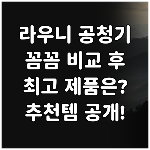라우니 공기청정기 추천! 꼼꼼 비교 ..