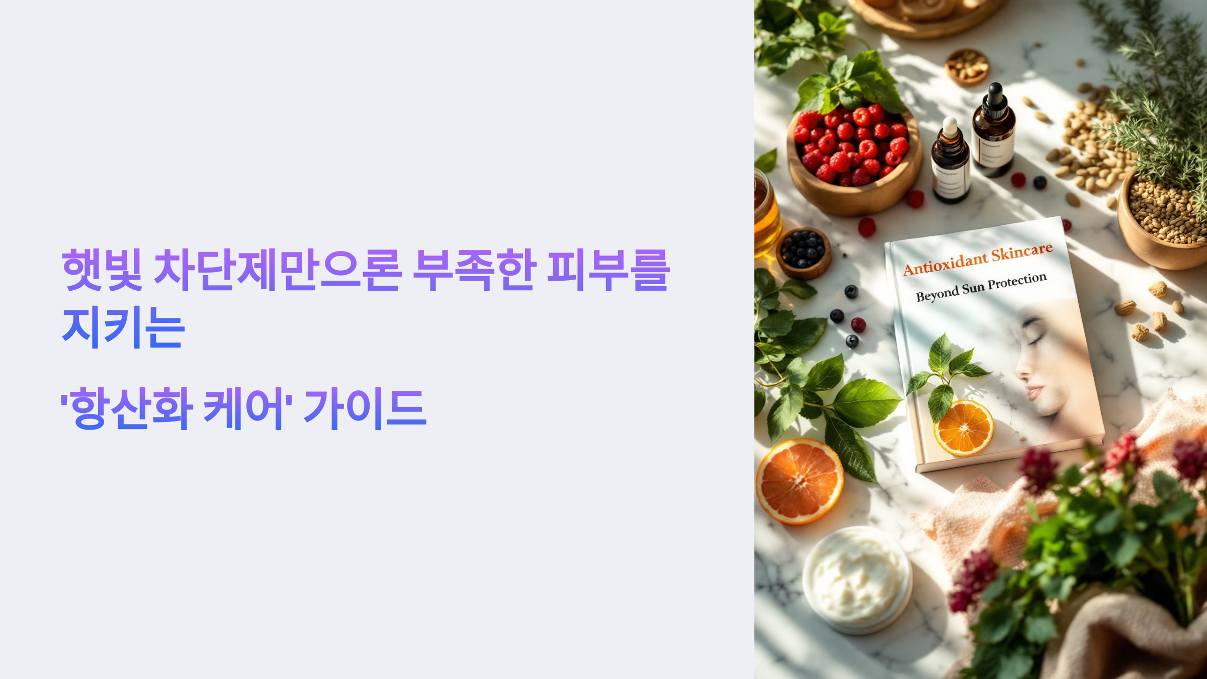 항산화 케어 가이드에 대한 이미지