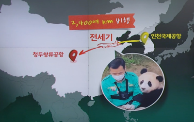 알트태그-푸바오 중국 반환 비행 여정