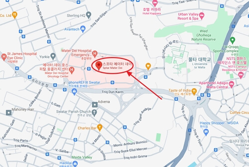 Mater Dei Hospital (중앙 몰타)