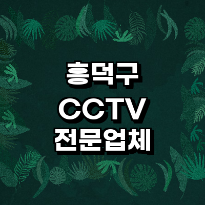 청주 흥덕구 cctv