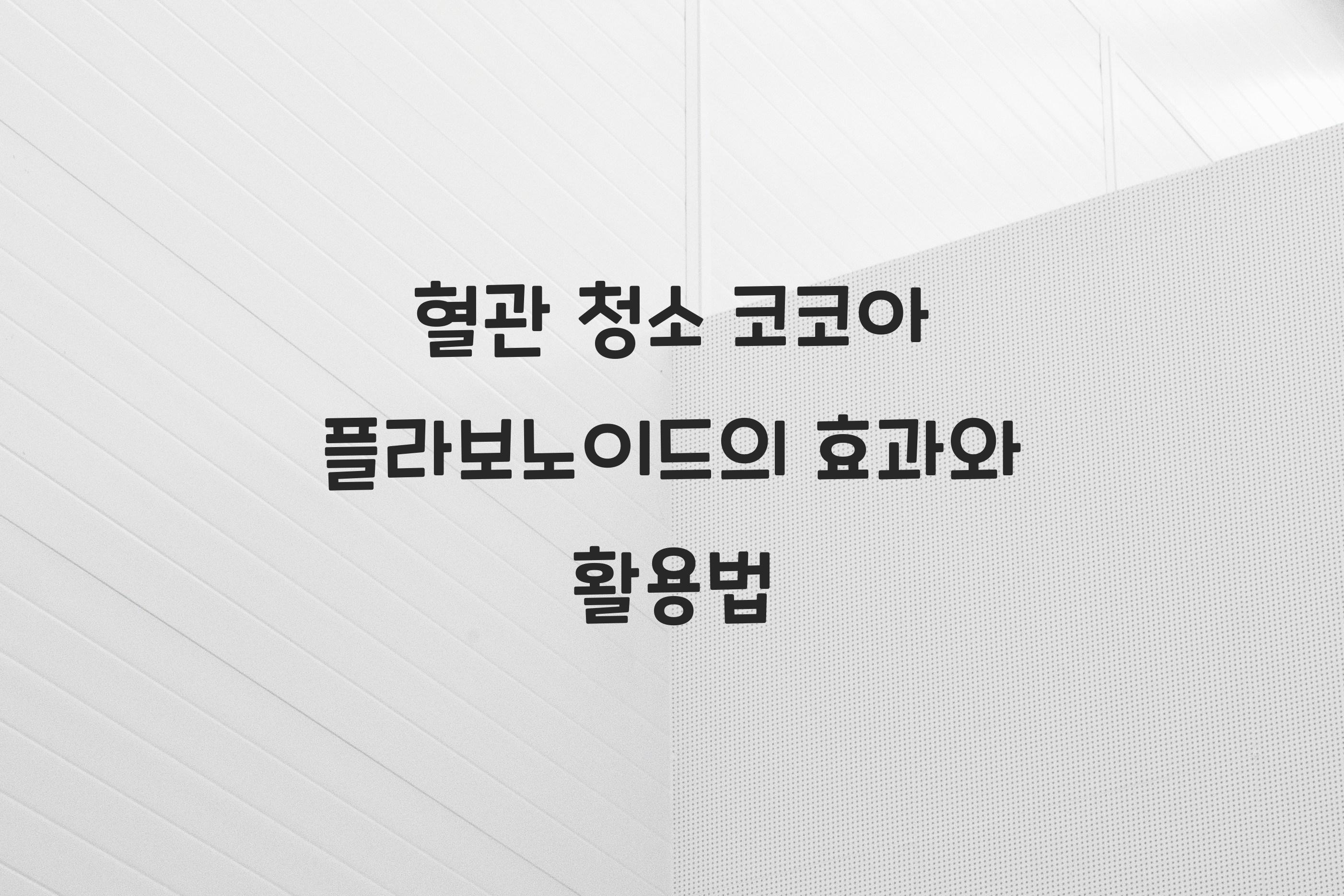 혈관 청소 코코아 플라보노이드