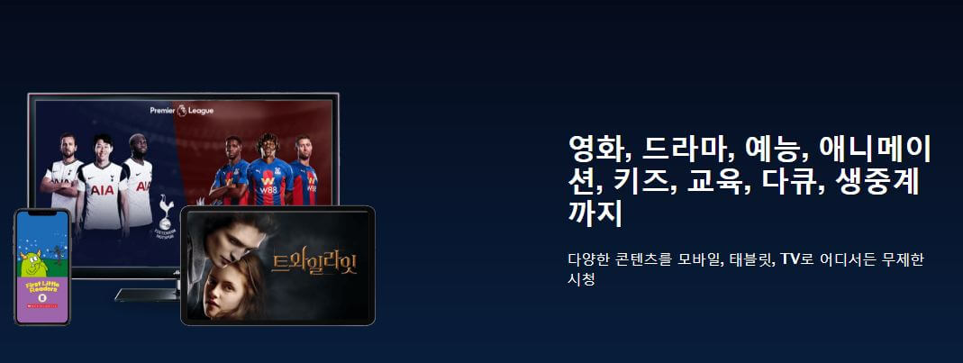 콘텐츠-보여줌