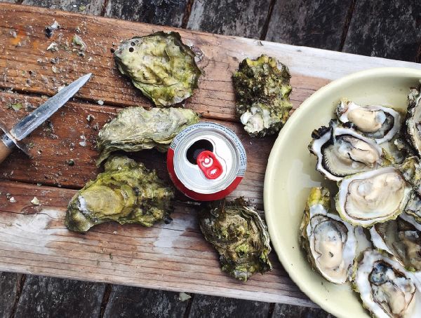 굴신선도확인방법