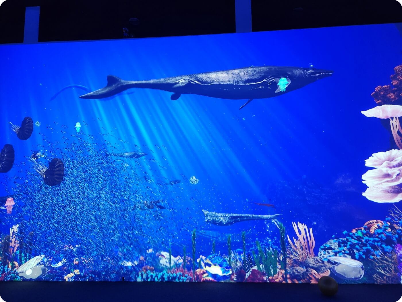 바닷속 공룡 영상