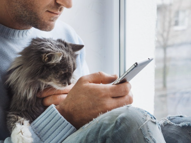 감기에 걸린 것 같은 고양이.