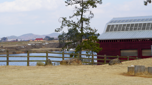 전북 고창 숙박 상하농원 파머스 빌리지 패밀리룸 조식