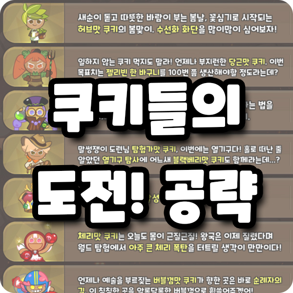 대표