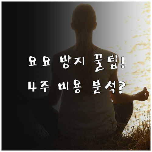 요요 방지 한방 다이어트 장기 효과 ..