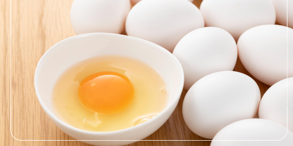 구리와 단백질3