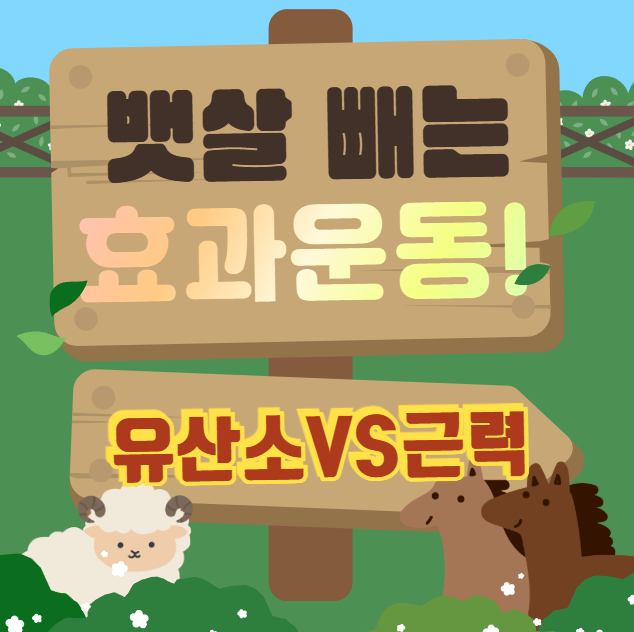 뱃살빼는운동 유산소VS근력운동