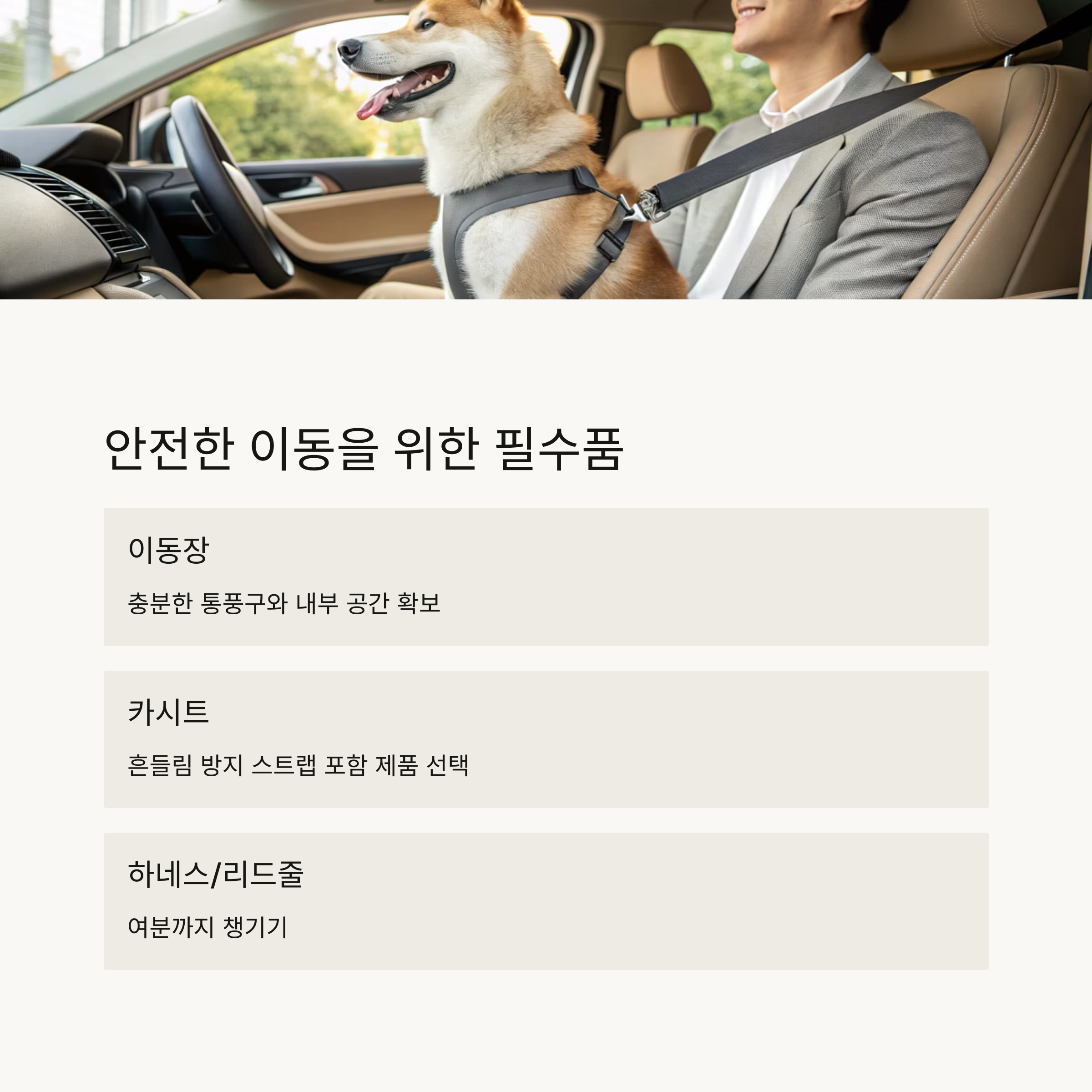 안전한 이동을 위한 필수품