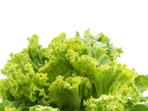 당뇨에 좋은 음식과 나쁜 음식