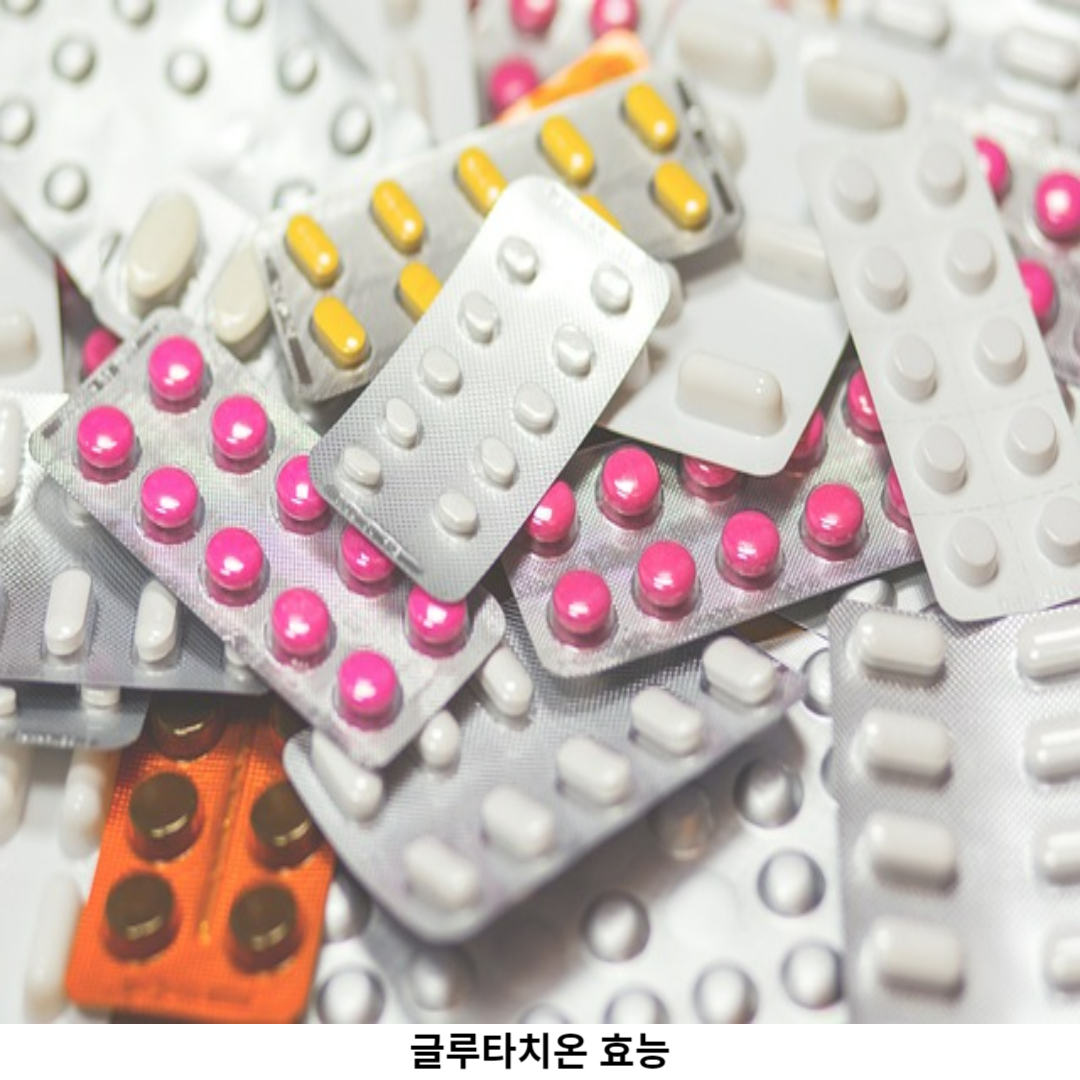 글루타치온 소화기 건강