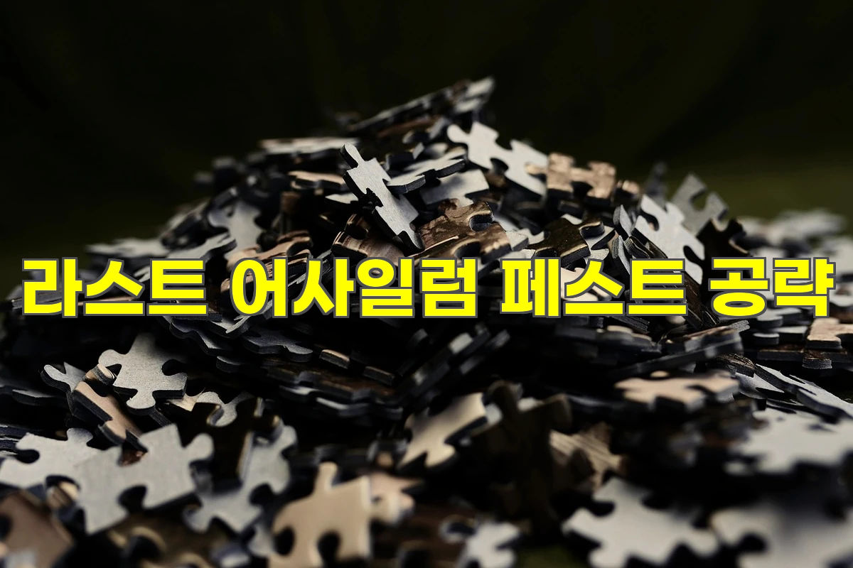 라스트 어사일럼