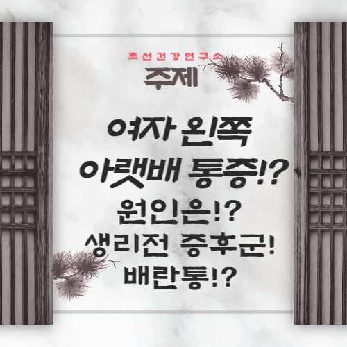 여자 왼쪽 아랫배 통증 원인 7가지 왼쪽 아랫배 땡김 콕콕 찌릿 증상