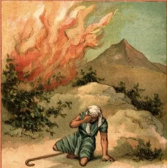 탈출기 3장 시내산 불타는 떨기나무 속에 나타나신 하느님_8