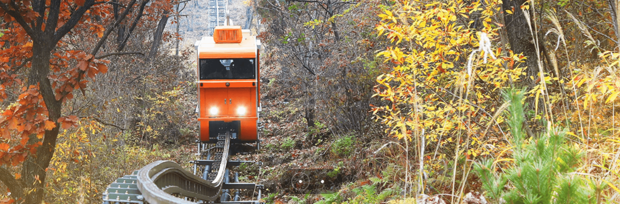대봉산 모노레일 예약 방법
