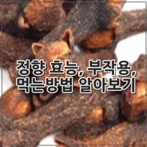 정향 효능, 부작용, 먹는방법 알아보기