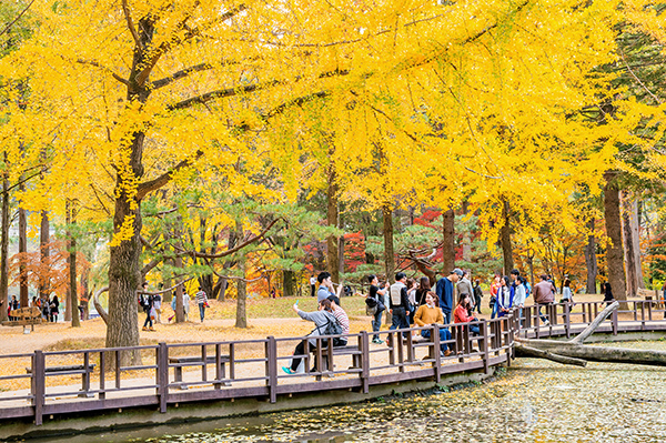 출국납부금환급서비스