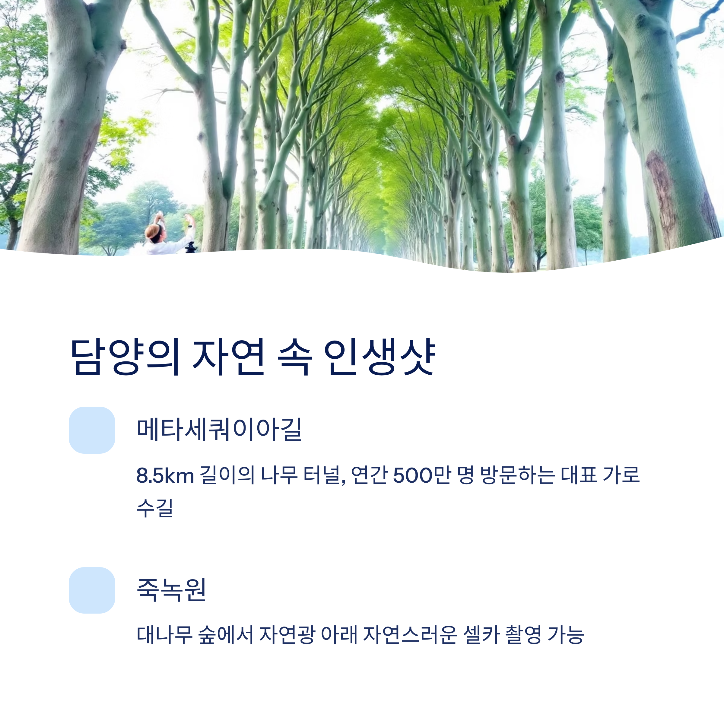 담양 메타세쿼이아길과 죽녹원