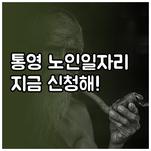 통영시 시니어클럽 사업 내용과 노인 ..