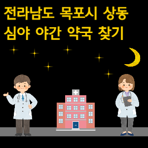 목포시 상동 심야 야간 약국 찾기