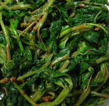 비름나물의 효능 부작용 고르는법 먹는법