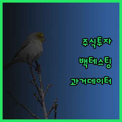 나만의 주식 투자 전략 과거 데이터로