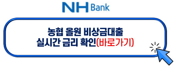 비상금대출