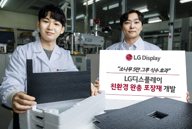 LG디스플레이 주가 전망 급등 원인 실적 개선 분석